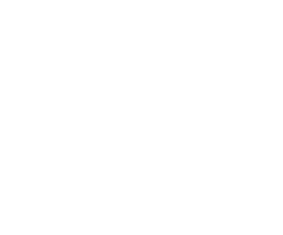 HR Professionals icon